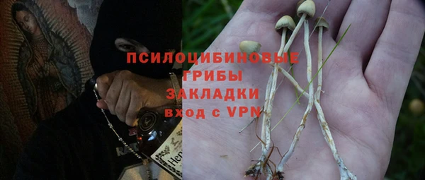 амф Вязьма