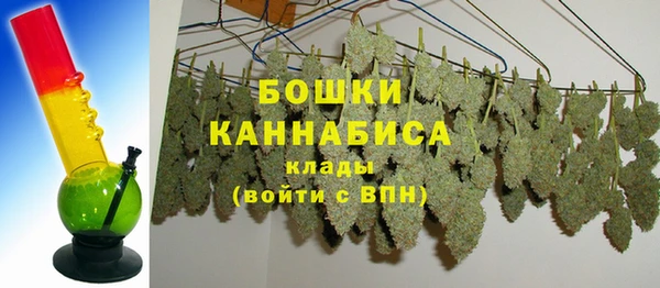 амф Вязьма
