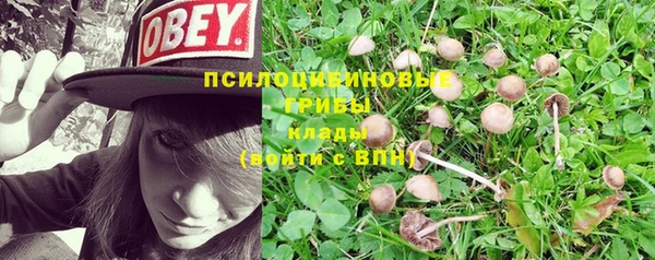 гашиш Вяземский
